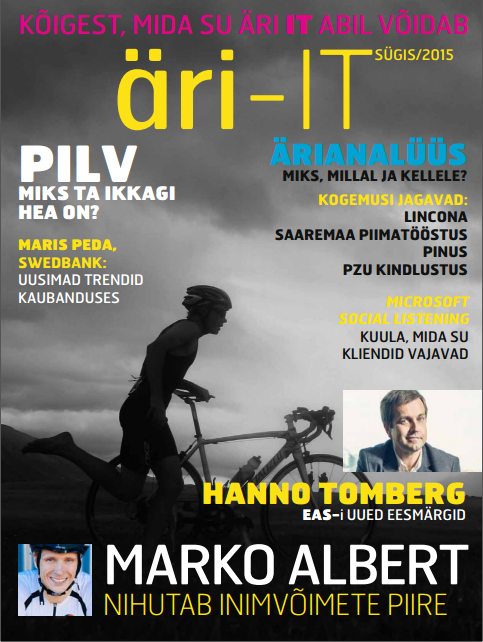 Äri IT 13