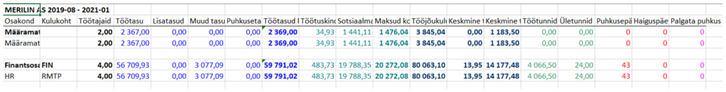 Exceli aruande vorm palgaanalüüsides