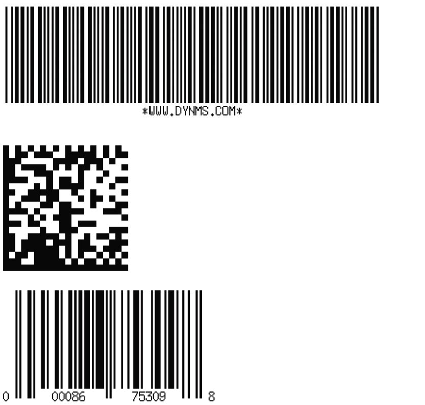 Figure 1. Examples of different versions of the barcode